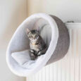 220304_PHO_PRO_CAT_43144-1.jpg