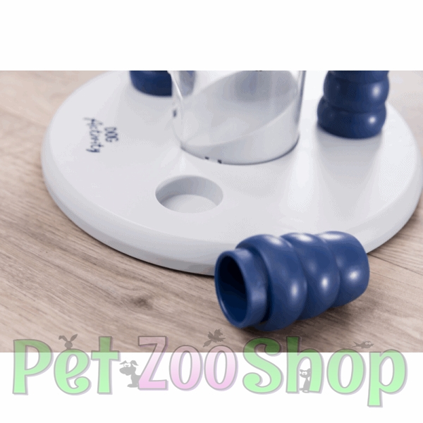 Dog-activity-1.jpg