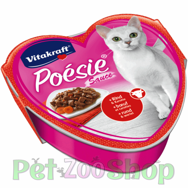 VK31321.png