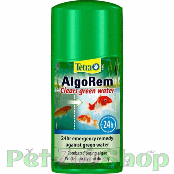 algorem.jpg