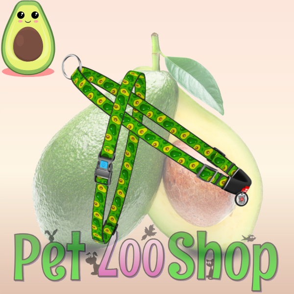 avocado-REAL.png