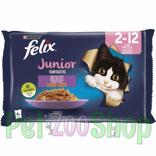 felix-junior.jpg