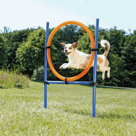 Trixie Fun Agility krug za preskakanje, Ø 65 cm