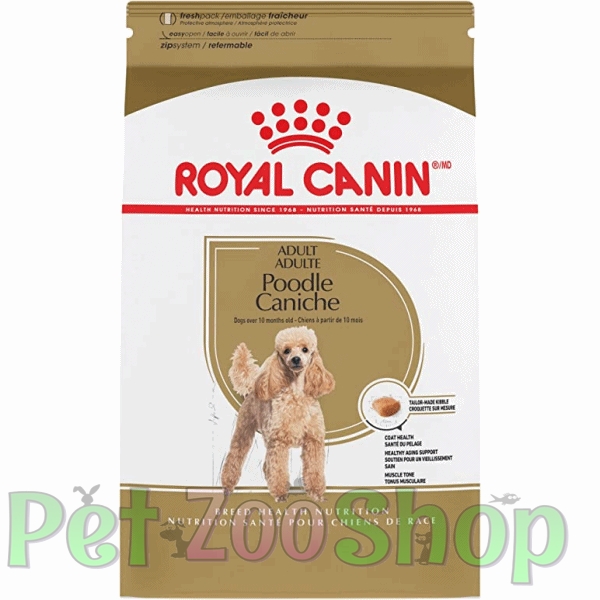 poodle.jpg