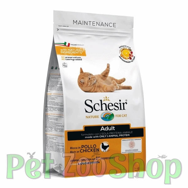 schesir-adult.jpg