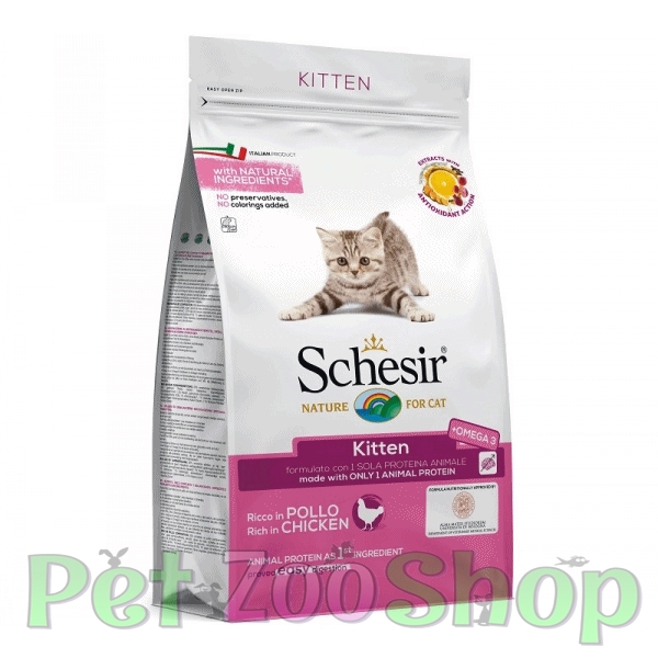 schesir-kitten.jpg