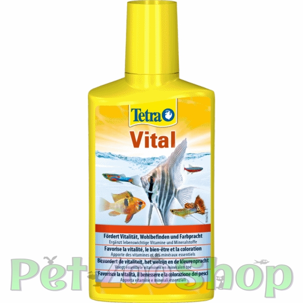 tetra-vital-1.jpg