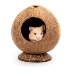 Kućice i oprema za kaveze