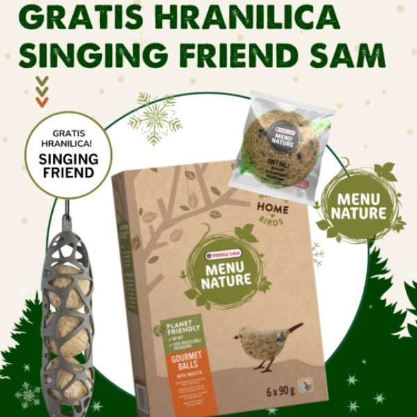 masne-kugle-ptice-gratis-hranilica.jpg