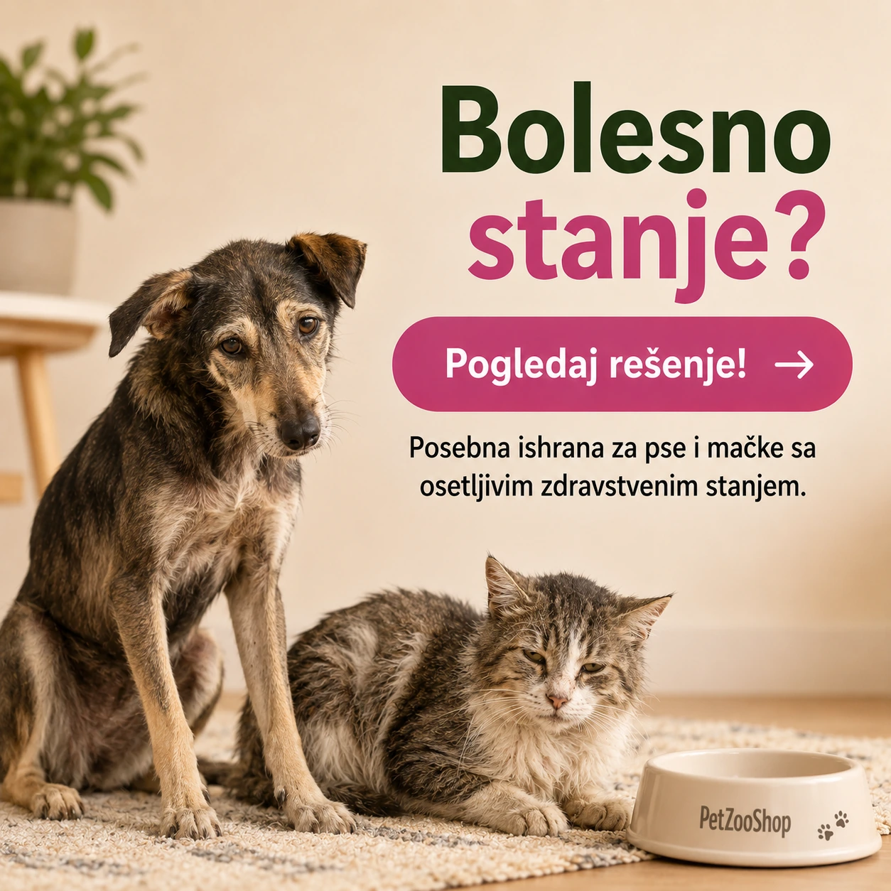 Posebna ishrana za pse i mačke sa osetljivim zdravstvenim stanjem