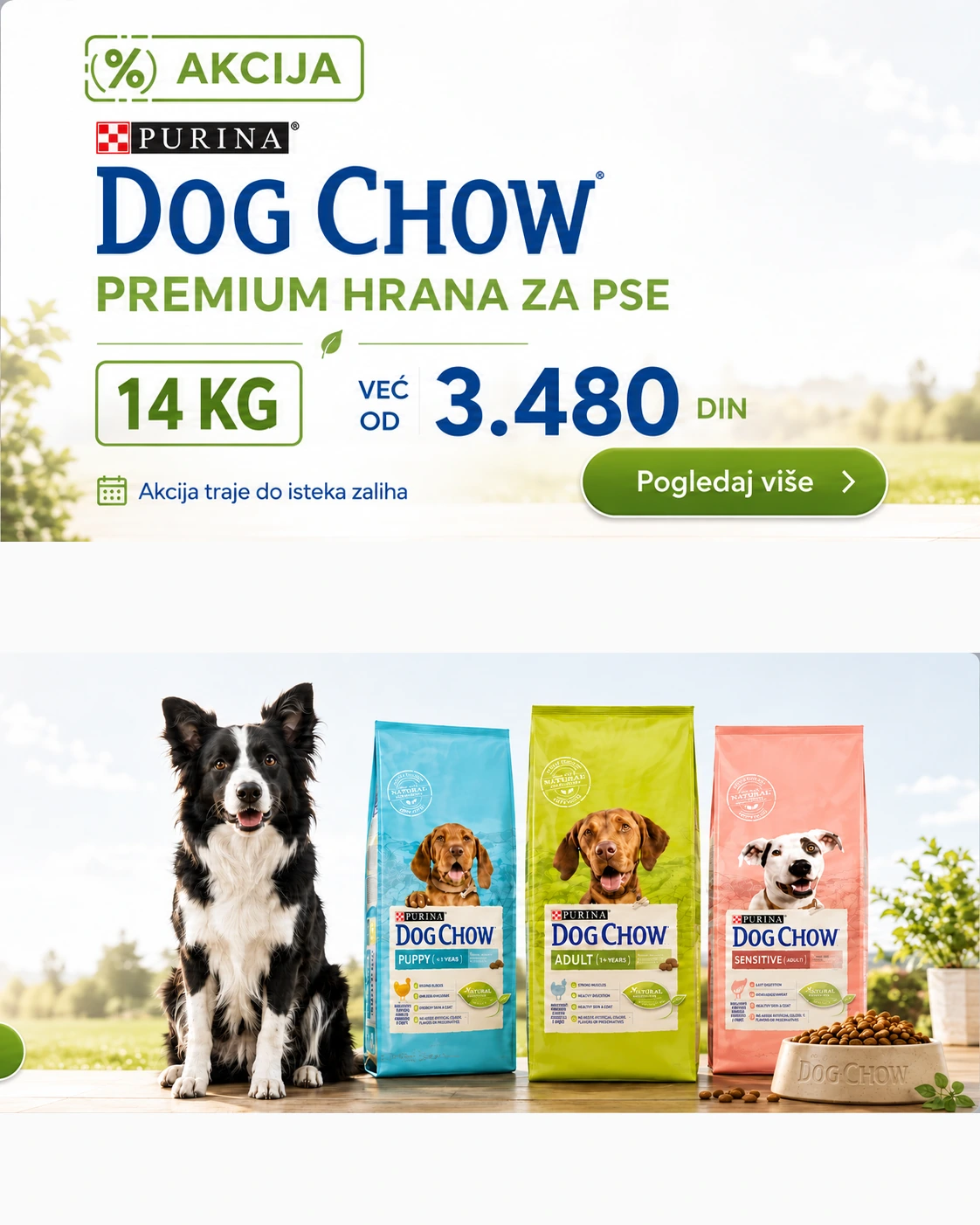 purina-dog-chow-akcija-14kg-3480-mobile-1122x1402