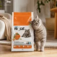 rocat-orange-macka-watermark