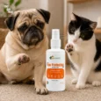 supervet-paw-protection-lifestyle