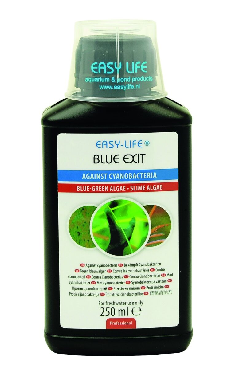 blue-exit-250ml-2014.jpg