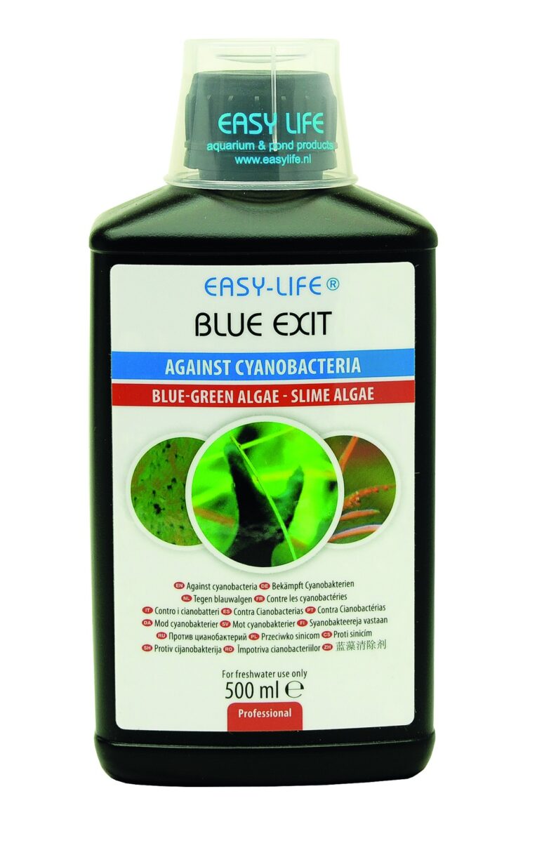 blue-exit-500ml-2014.jpg