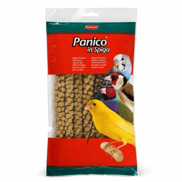 Padovan Panico in Spiga proso u klasu za zrnojede ptice, 250 g