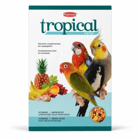 Padovan Tropical Pâtée meka hrana sa voćem za srednje papagaje, 700 g