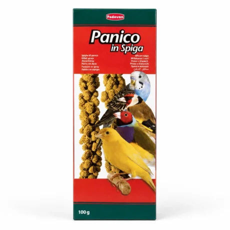 Padovan Panico in Spiga proso u klasu za zrnojede ptice, 100 g