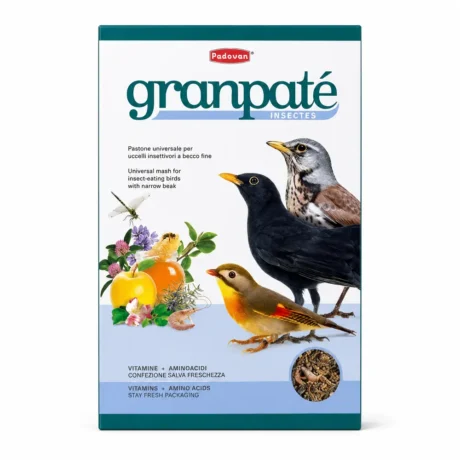 Padovan GranPâtée Insectes kompletna hrana sa insektima za insektojede ptice, 1 kg