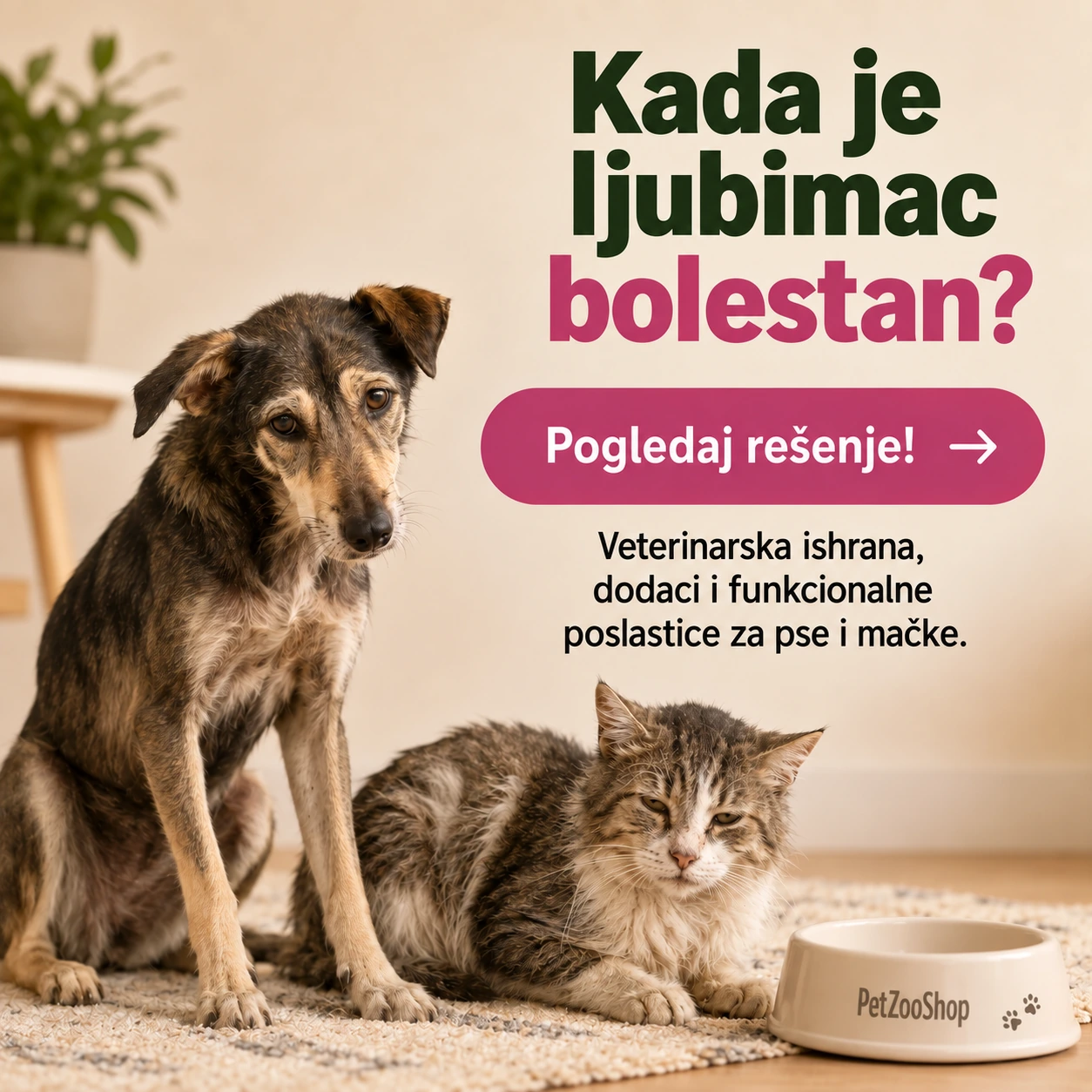 Kada je ljubimac bolestan – veterinarska ishrana, dodaci i funkcionalne poslastice za pse i mačke